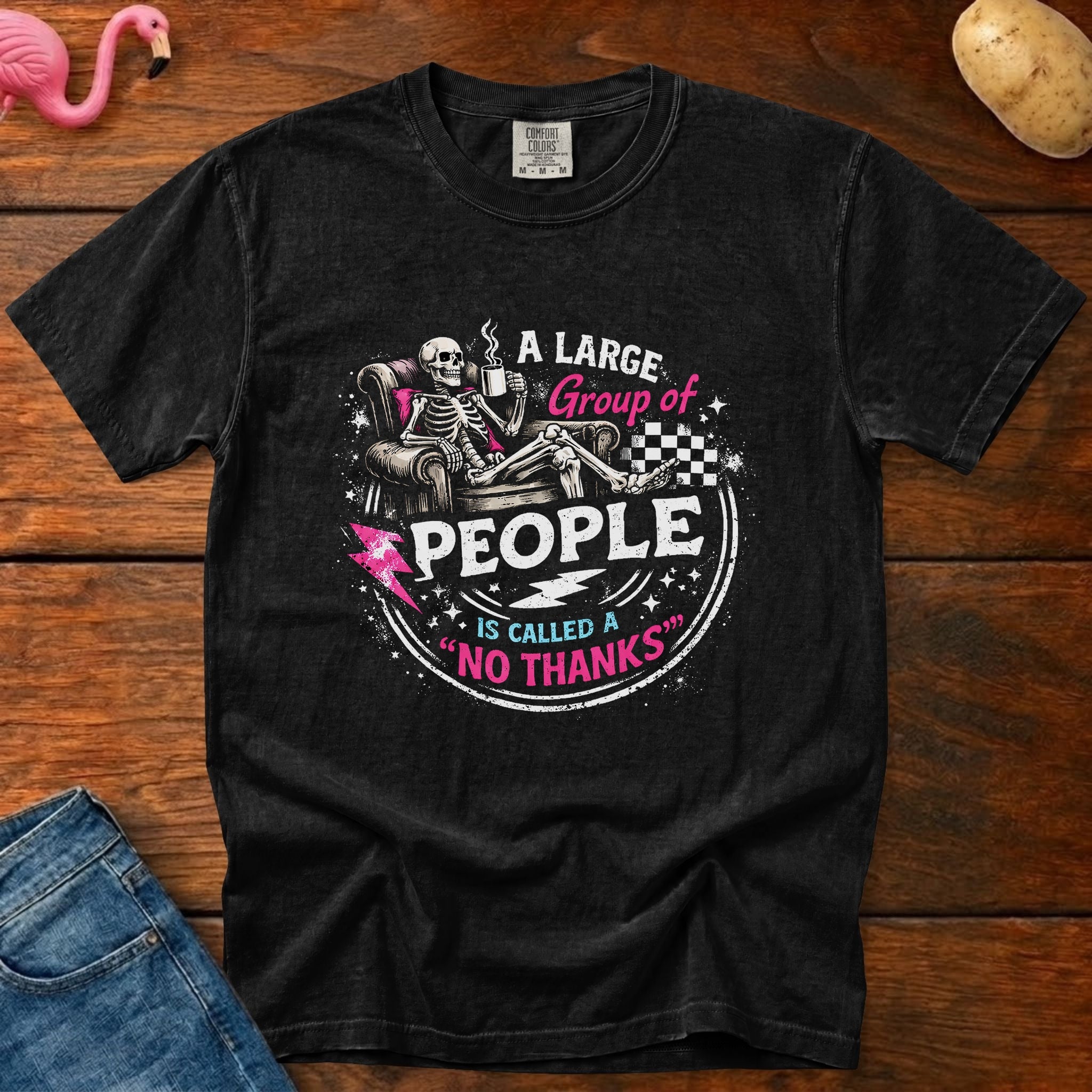 No Thanks Heavyweight Vintage Graphic Tee