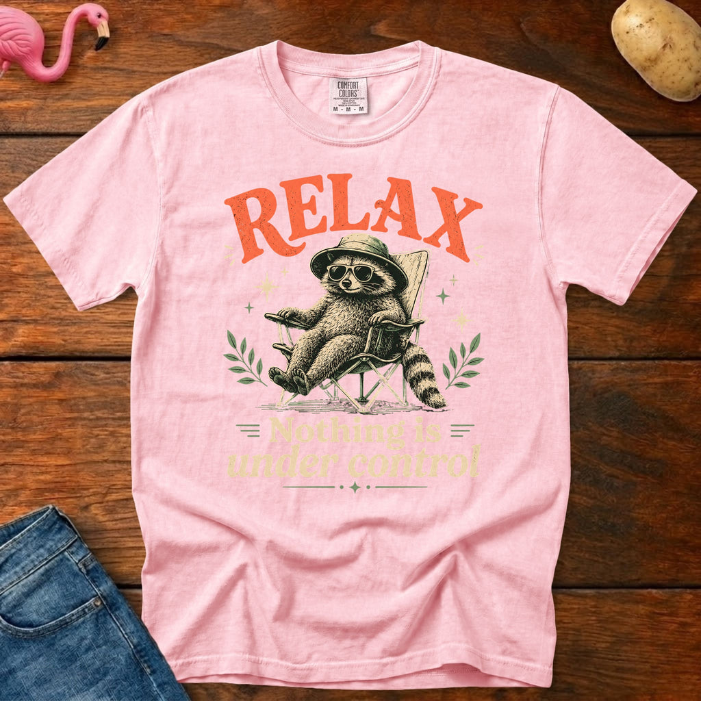 Nothing is Under Control Vintage Heavyweight Graphic Tee