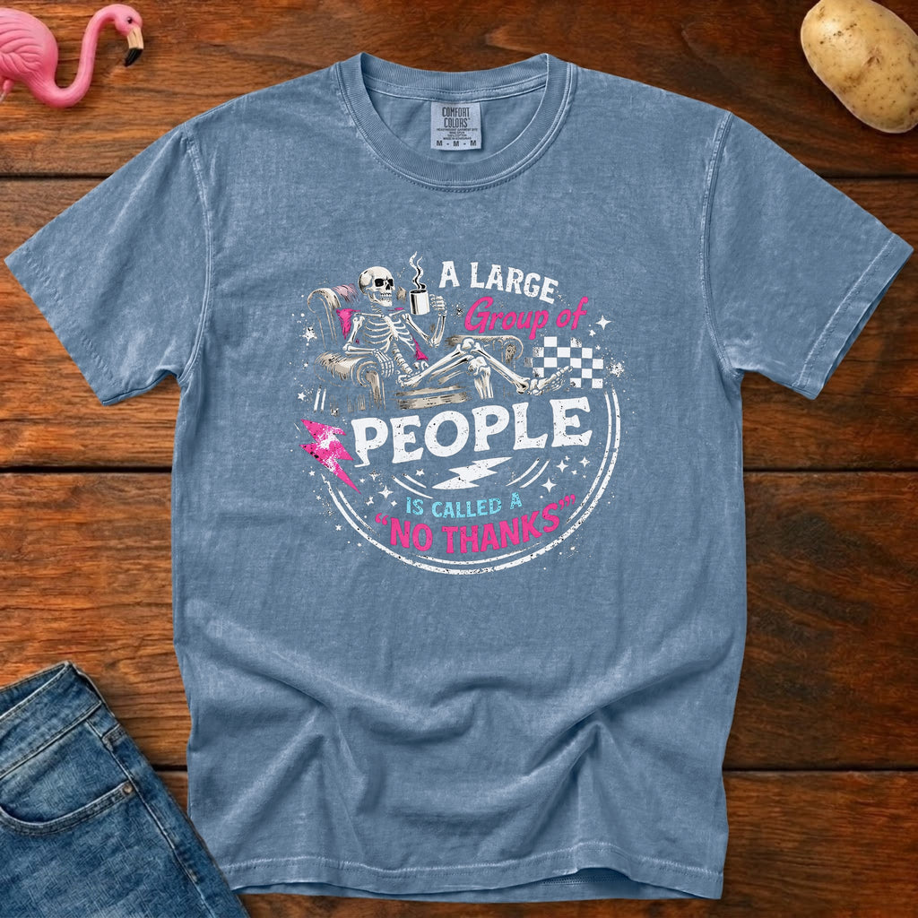 No Thanks Heavyweight Vintage Graphic Tee