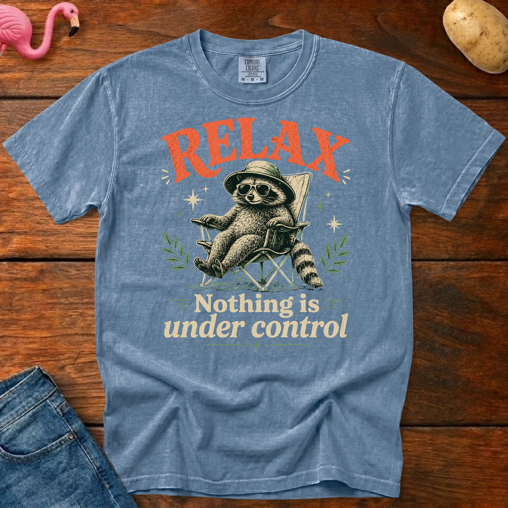 Nothing is Under Control Vintage Heavyweight Graphic Tee