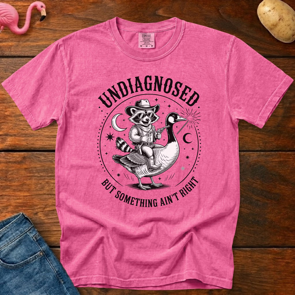 Undiagnosed Vintage Heavyweight Graphic Tee