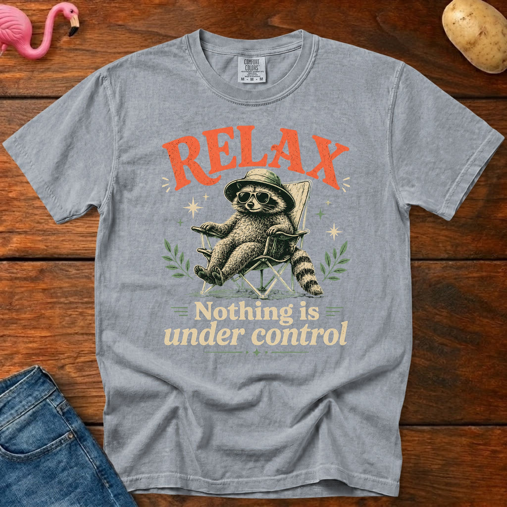 Nothing is Under Control Vintage Heavyweight Graphic Tee