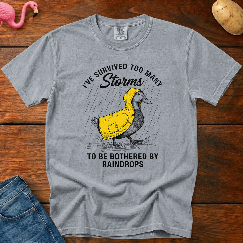 Survived Too Many Storms Vintage Heavyweight Graphic Tee