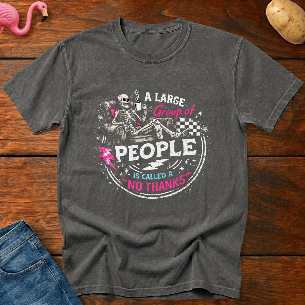 No Thanks Heavyweight Vintage Graphic Tee