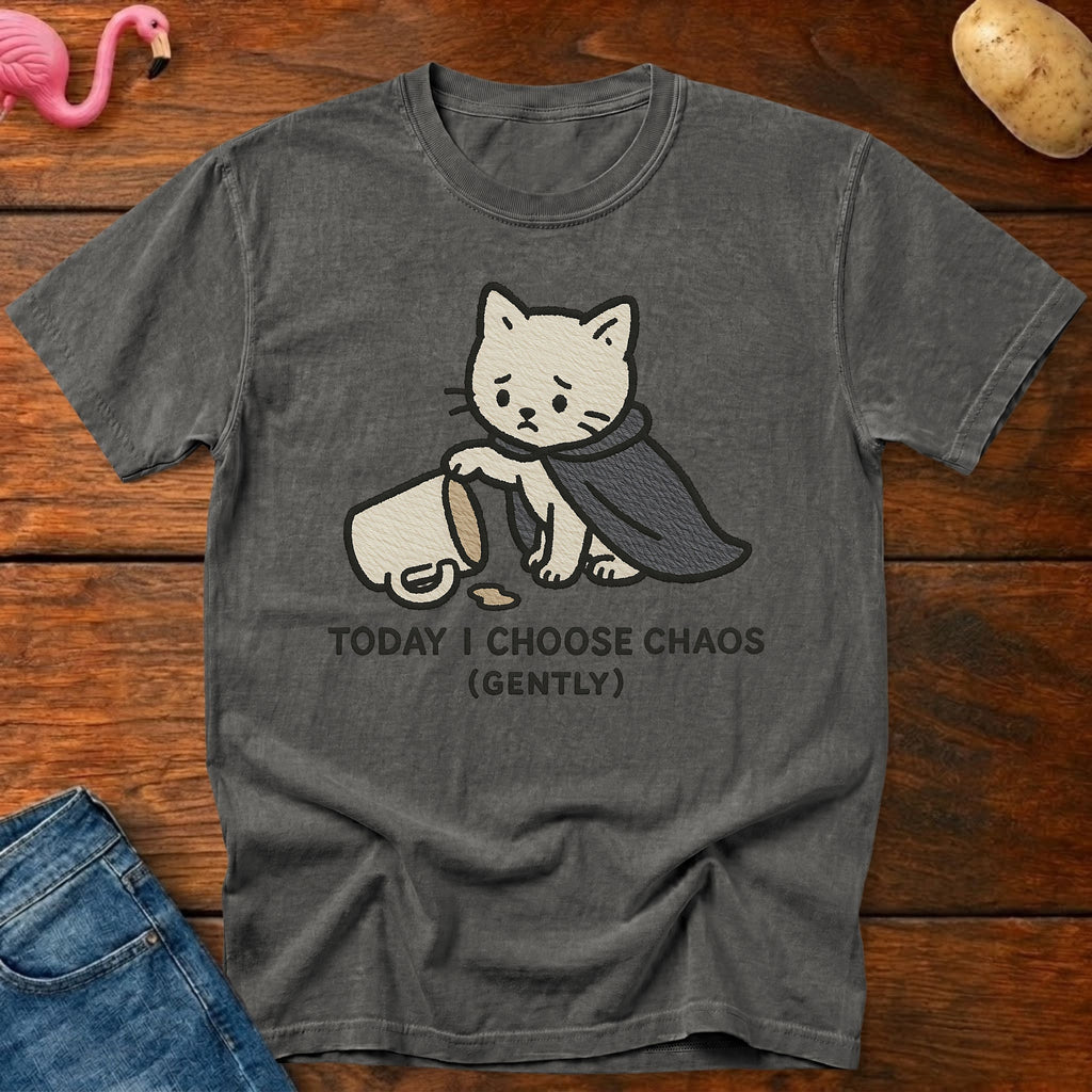 Choose Chaos Heavyweight Vintage Graphic Tee