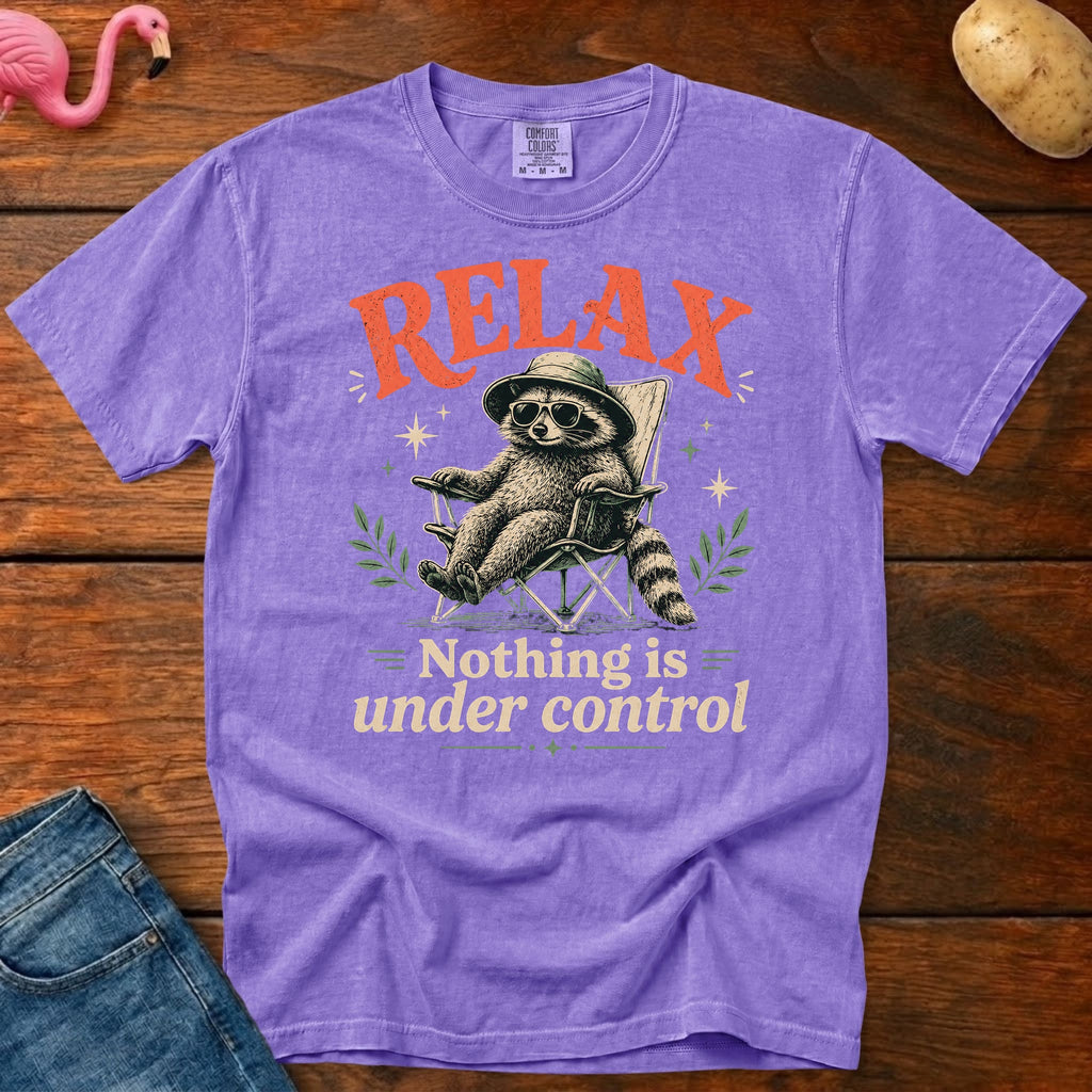 Nothing is Under Control Vintage Heavyweight Graphic Tee