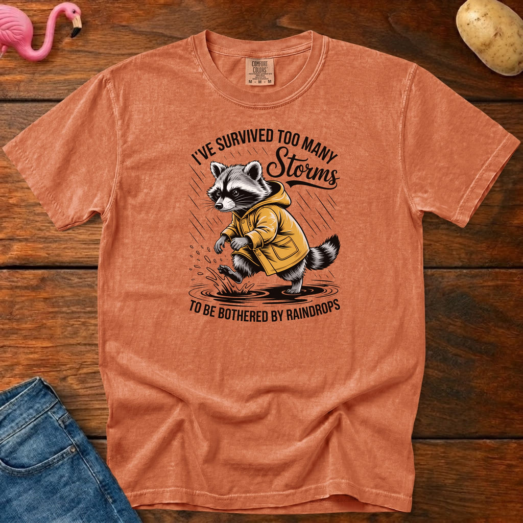 Survived Too Many Storms Vintage Heavyweight Graphic Tee