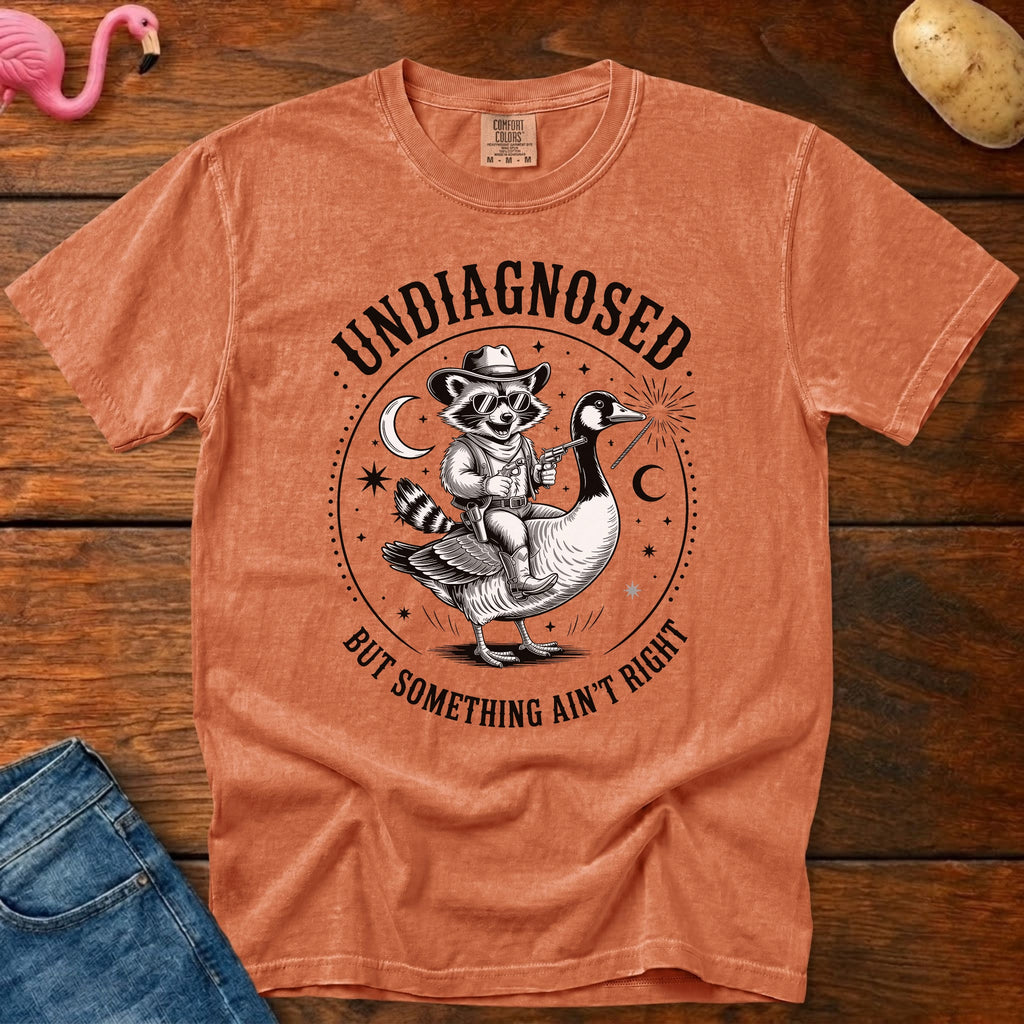 Undiagnosed Vintage Heavyweight Graphic Tee